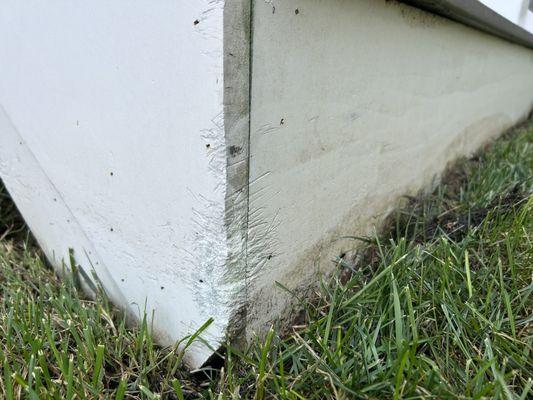 Weed whacked all around. Even cut up the gutter tube!