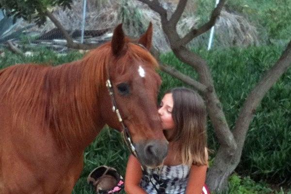 Rancho El Camino customers love their horses.