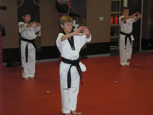 Triad Martial Arts Training Center LLC