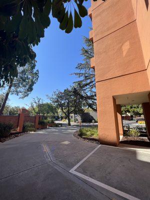 Webster House Health Center Driveway Entrance