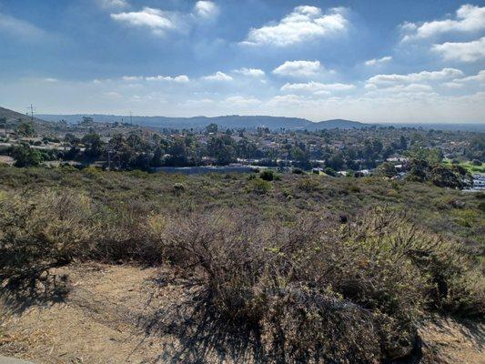 Looking down into the hood.