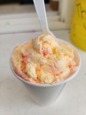 Shirley's Northern Lights Gourmet Ice Cream