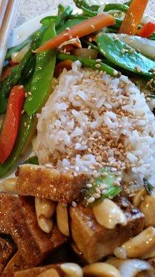 Stir-Fry w/ Caramelized Tofu