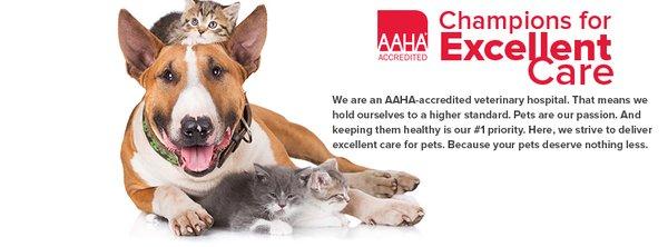 AAHA the standard of veterinary excellence.