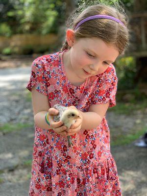 A precious moment with a new little chick