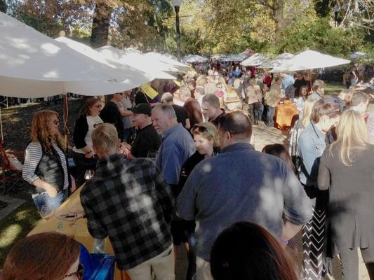 Pinot festival in Healdsburg