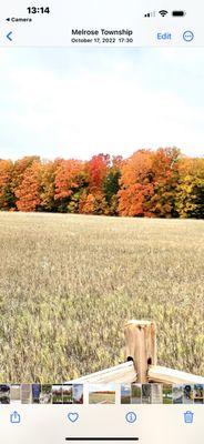 Fall color tours available. Let's hit the back roads!