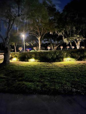 Landscape lighting