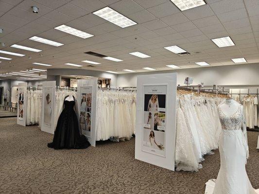 David's Bridal Jacksonville South FL