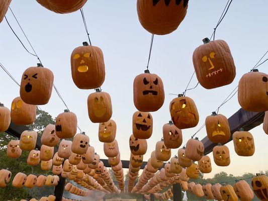 Pumpkin Night exhibit entrance