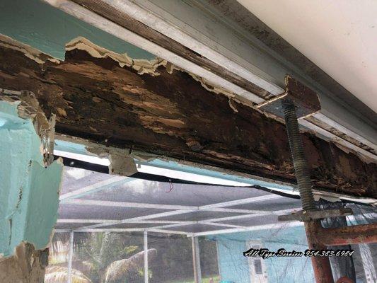 Termite damage