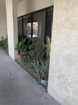 Another view of the seemingly closed restaurant.