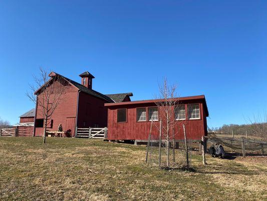 Barn and chicken coup