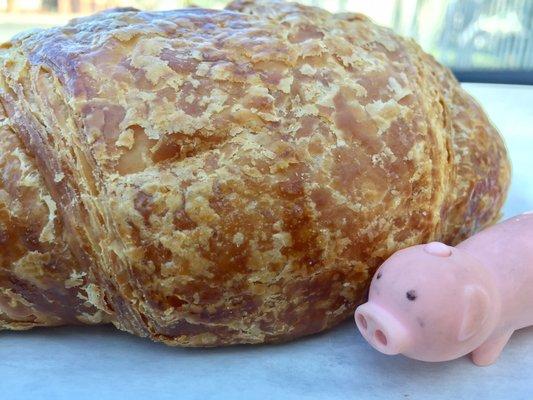 Ham & Cheese croissant