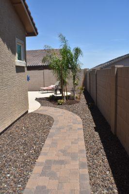 Freeform path to match freeform pool, with drippers (buried under rock) for future plants next to wall.