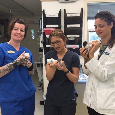 Our technicians Nikki and Liz, and Dr. Bercovitz bottle feeding three 2 day old kittens dropped off on a client's business' doorstep.