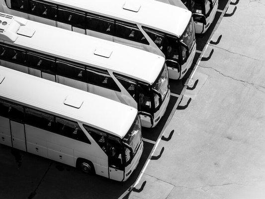 Charter Bus Fleet