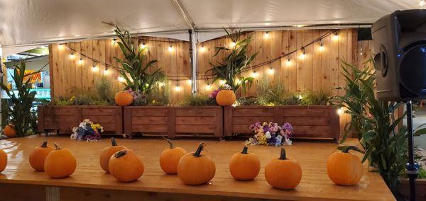 We are ready for Fall, for Halloween and for Winter as well. Come visit the Garden in Downtown PDX.