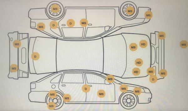 Hail and other areas damaged reported by the transporter when they picked up the vehicle from the dealer.