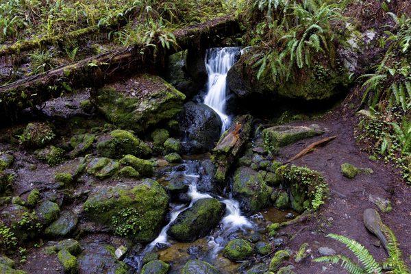 Trillium Falls!