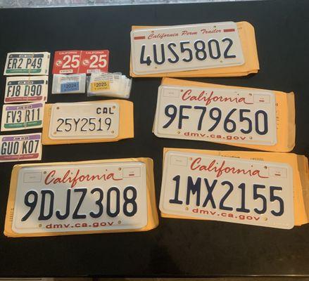 Plates and Tags in stock, no waiting