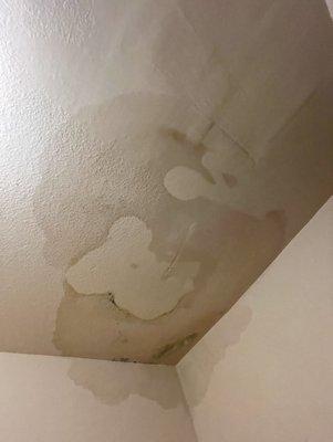 initial photo of water leak and mold