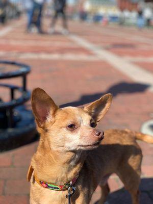 Little guy soaking up the spring sun