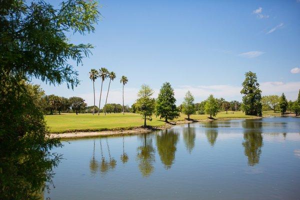 Cypress Links