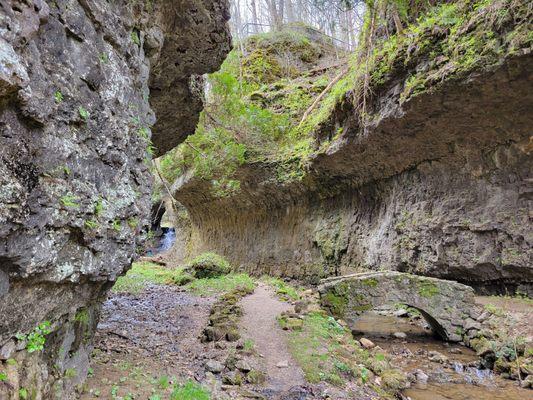 Valley of the Ancients trail