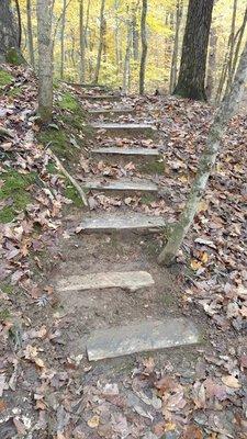 Beautiful redcedar stairs on the Fernlands trail.