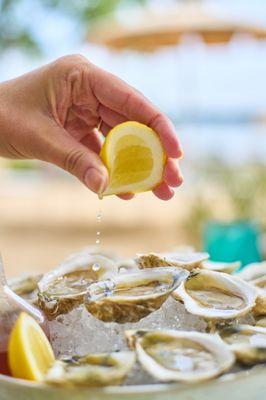 Our very own oysters travel only 200 feet from the water to your table.