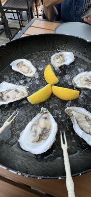 oysters, watery ice.