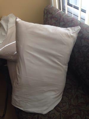 The soiled pillows placed on the couches by the nurses. Reported to me as "standard/common procedure" by Pat, the ICU mgr