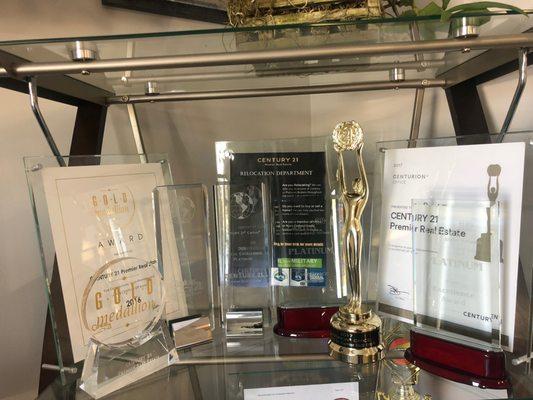 Awards display including 2016 Gold Medallion, 2017 & 2018 CARTUS Excellence Award, Platinum Excellence Award