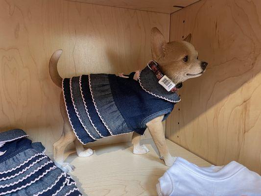 Cute small dog clothing