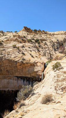 Upper Calf Creek Falls Trail | Instagram: @telephonesmoothie