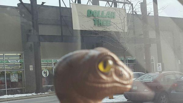 Bob the Raptor Says "Mammals come here to get things for not a lot of paper rectangles."