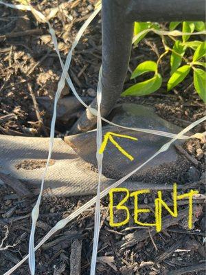 Bent arbor leg