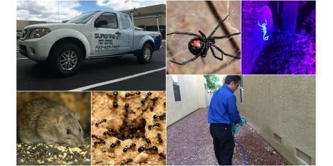 Surefire Pest Control