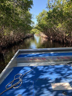 Mangroves galore