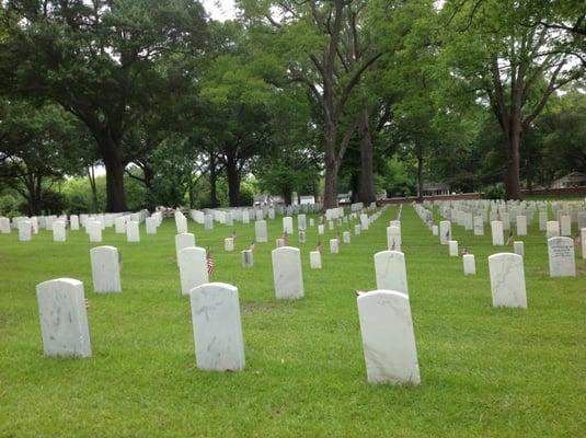 Over 7,600 flags