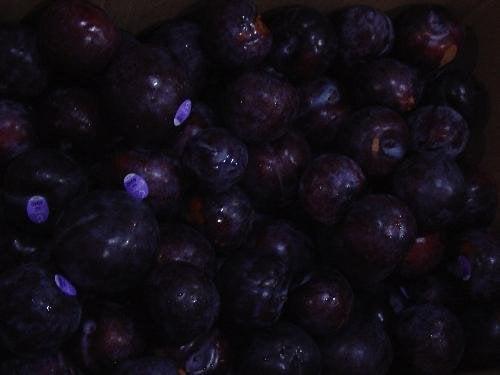 Plums!!!