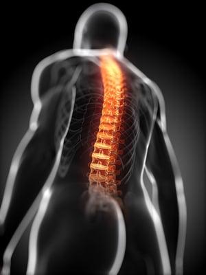 South Carolina Chiropractor in Murrells Inlet, Huntington Beach, and Garden City