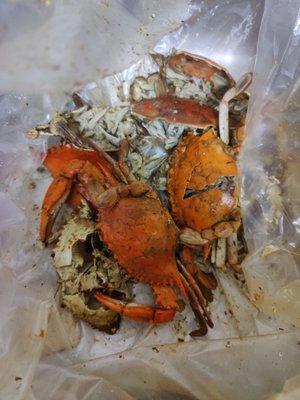 This is one broken crab out of a dozen that was purchased over the July 4th holiday.