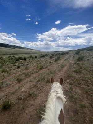 American Safari Ranch