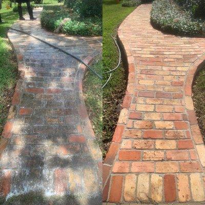 before and after 
soft wash & pressure wash