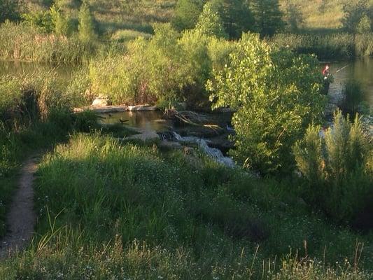 This is a "catch and release" area, but you'll still see fisherman in full waders, in the area under the little waterfall.