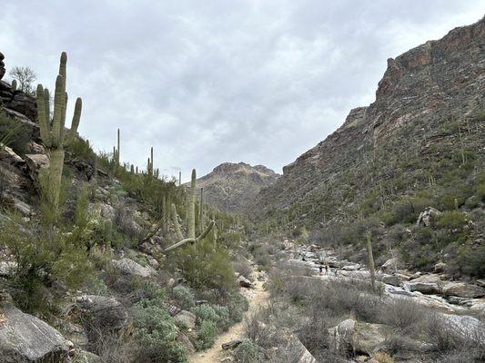 Seven Falls Trailhead in Bear Canyon