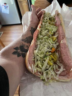 Arm to show you just how big this hoagie is!