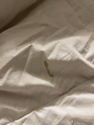 Dirty red/brown Stains on bed sheets